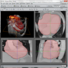 AVIZO 3D analysis software3D analysis software