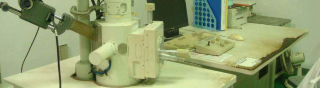 掃描式電子顯微鏡(SEM)